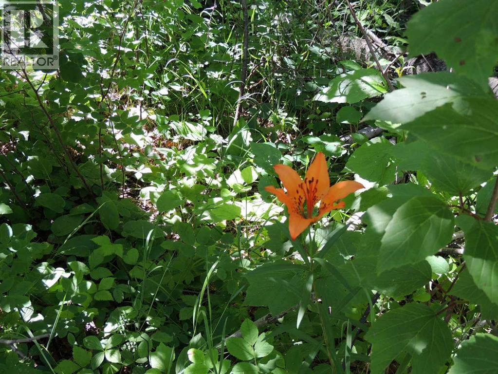 Photo 11 of Lot 33 Wapiti River Sw 21 69 10 W 6, Rural Grande Prairie No 1 County Of AB