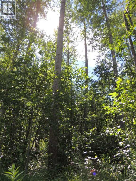 Photo 9 of Lot 33 Wapiti River Sw 21 69 10 W 6, Rural Grande Prairie No 1 County Of AB