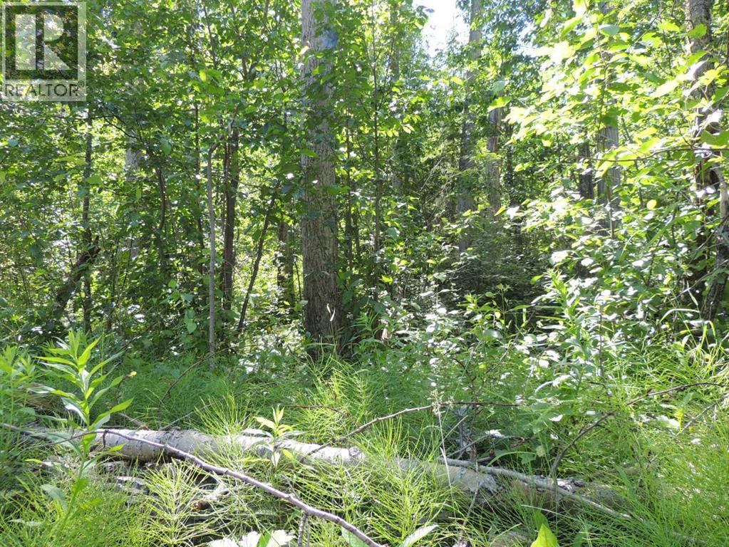 Photo 8 of Lot 23 Wapiti River Sw 21 69 10 W 6, Rural Grande Prairie No 1 County Of AB