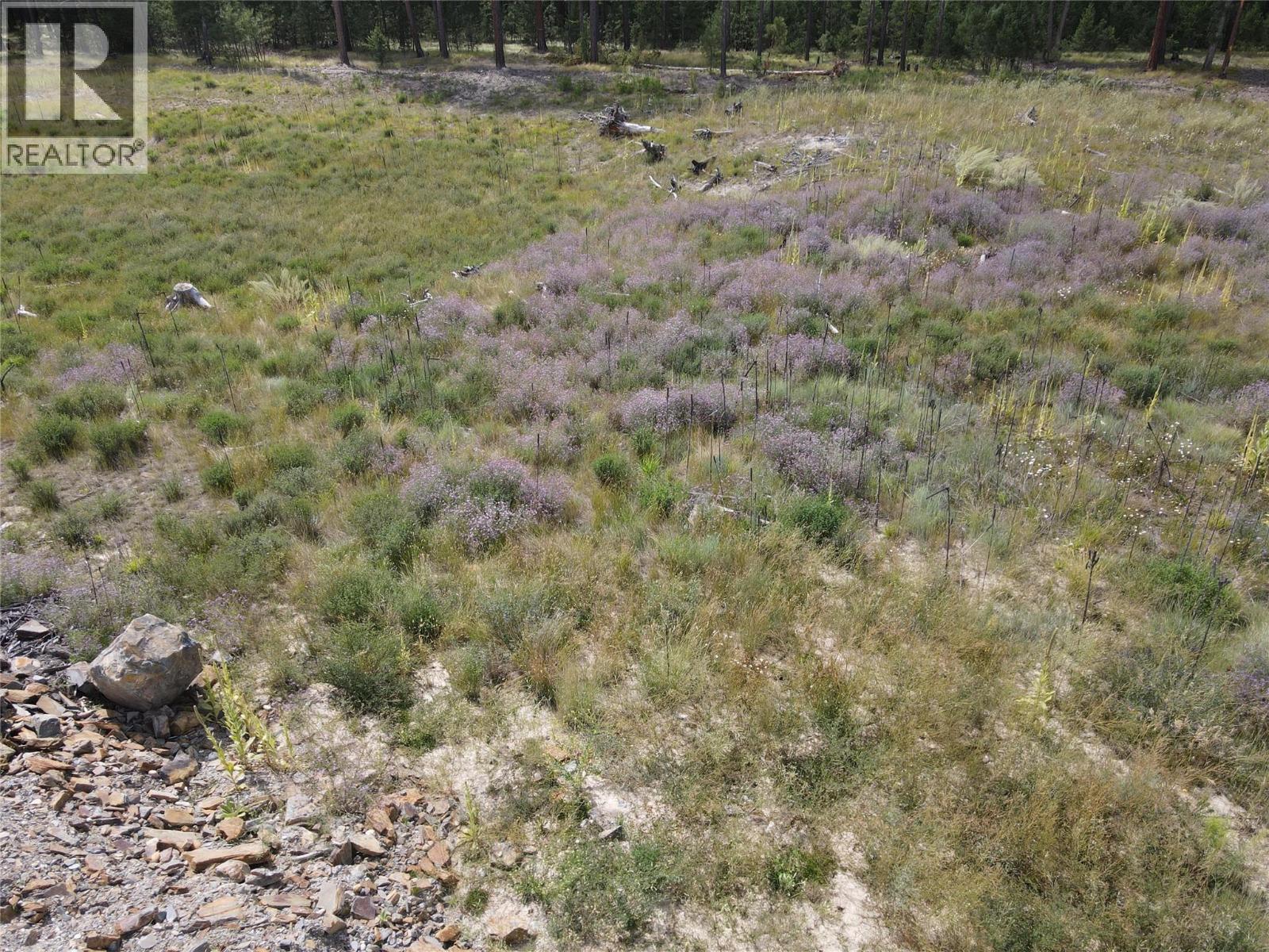 ML 1036752 8086 HWY 95 Highway, Kimberley