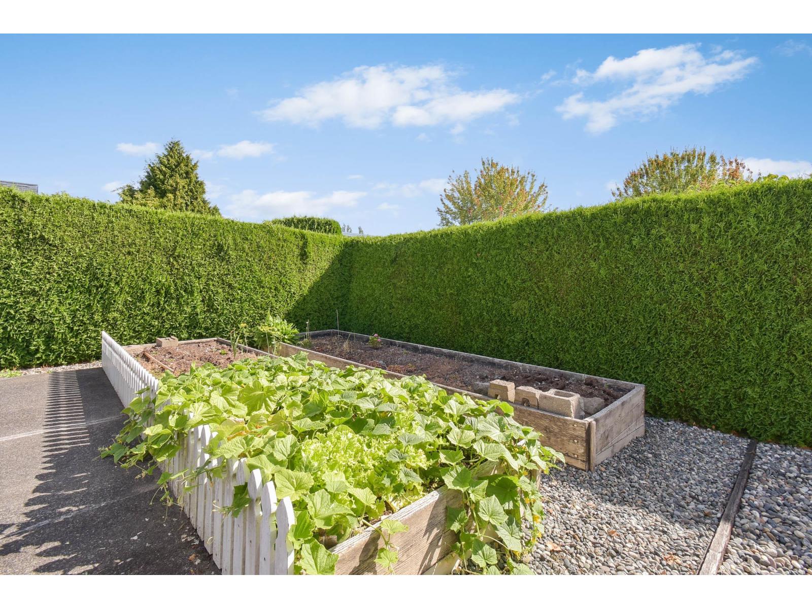 Photo 10 of 86 2303 Cranley Drive, Surrey BC
