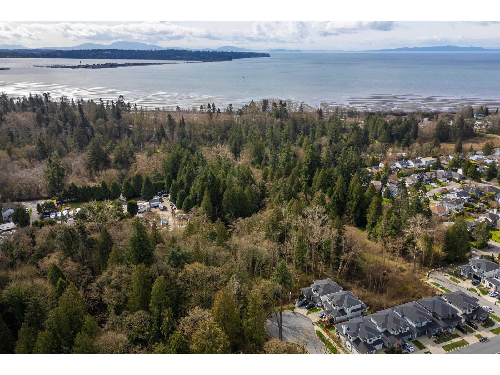 Photo 16 of 16203 8 Avenue, Surrey BC