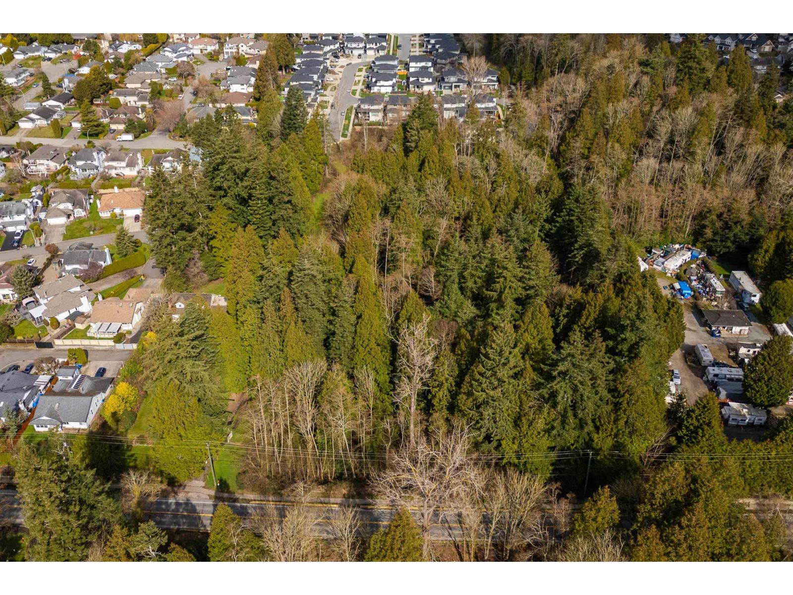 Photo 30 of 16203 8 Avenue, Surrey BC