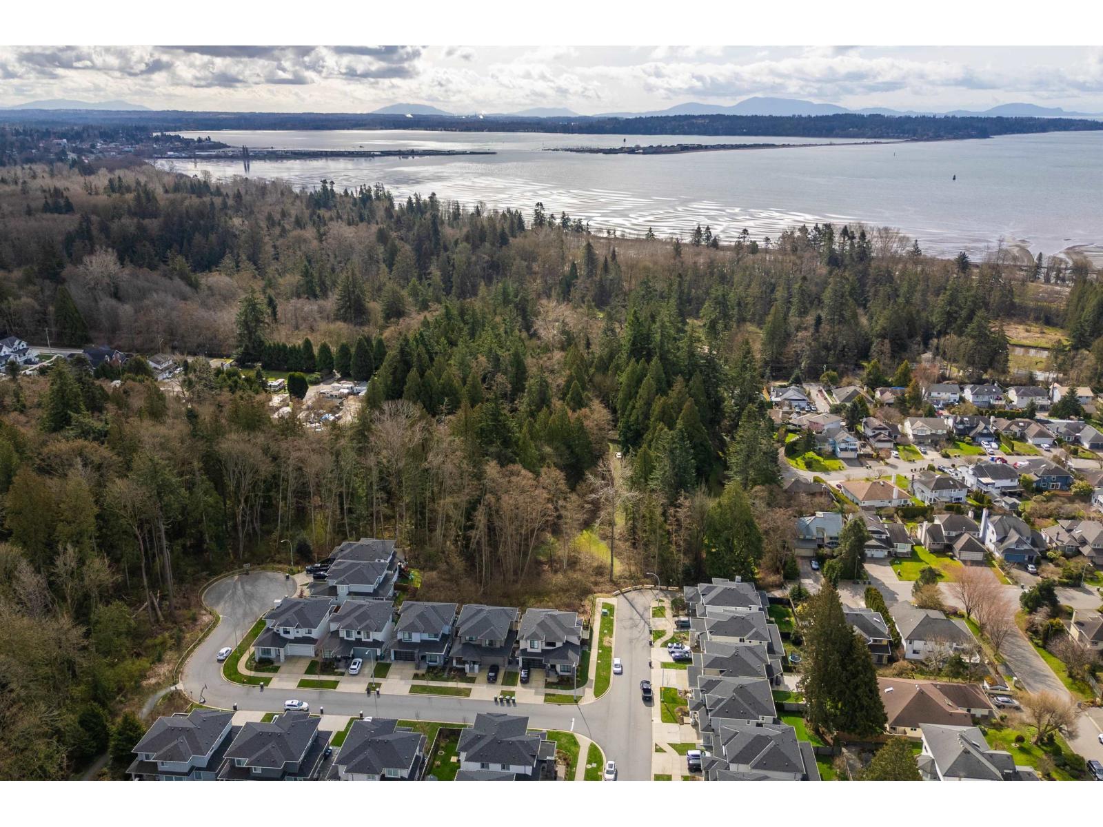 Photo 31 of 16203 8 Avenue, Surrey BC