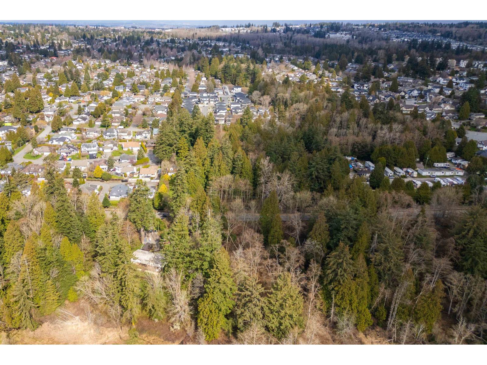 Photo 28 of 16203 8 Avenue, Surrey BC