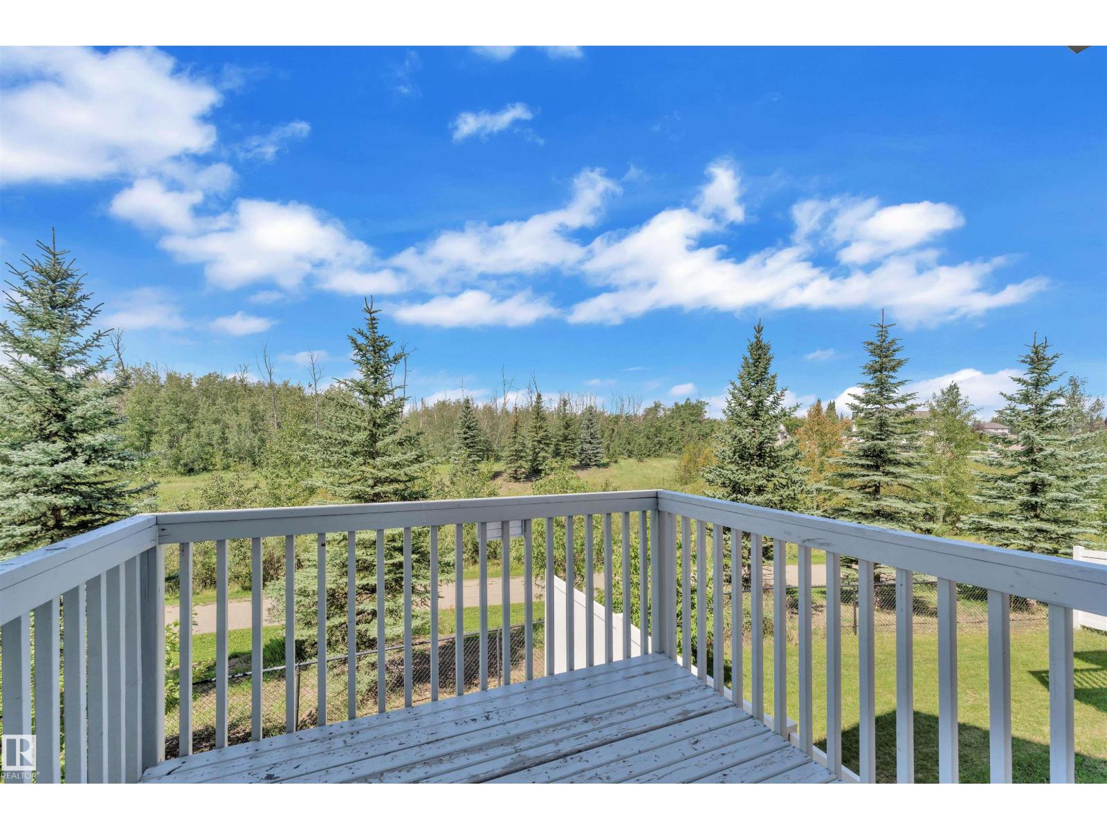 Photo 28 of 77 5317 3 Av Sw, Edmonton AB
