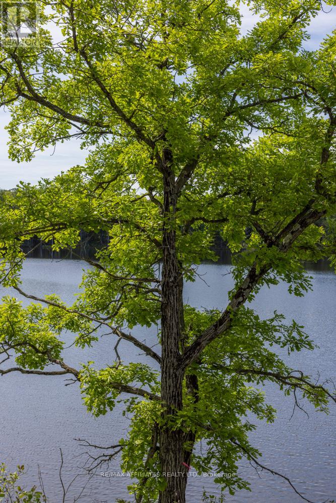 Photo 36 of 0 Fifth Lake Road, Frontenac ON