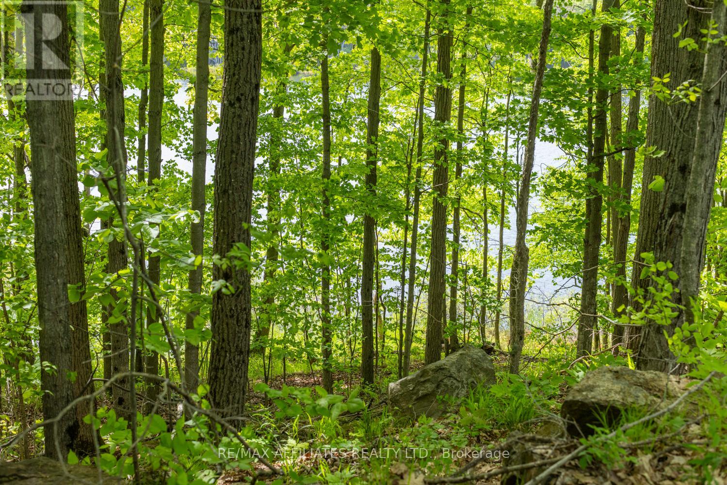Photo 34 of 0 Fifth Lake Road, Frontenac ON
