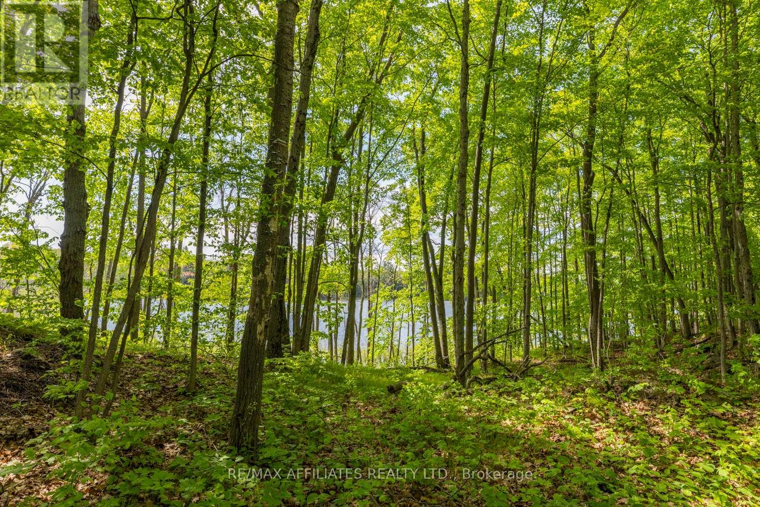 Photo 11 of 0 Fifth Lake Road, Frontenac ON