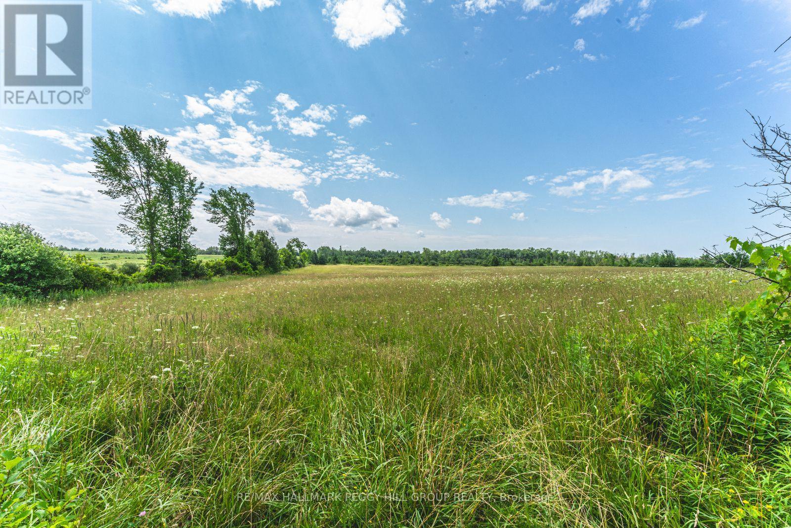 Photo 8 of Lot 5 Concession 5, Kawartha Lakes ON
