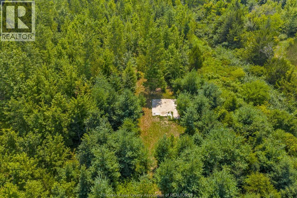 Photo 25 of 39 William Street, Kingsville ON