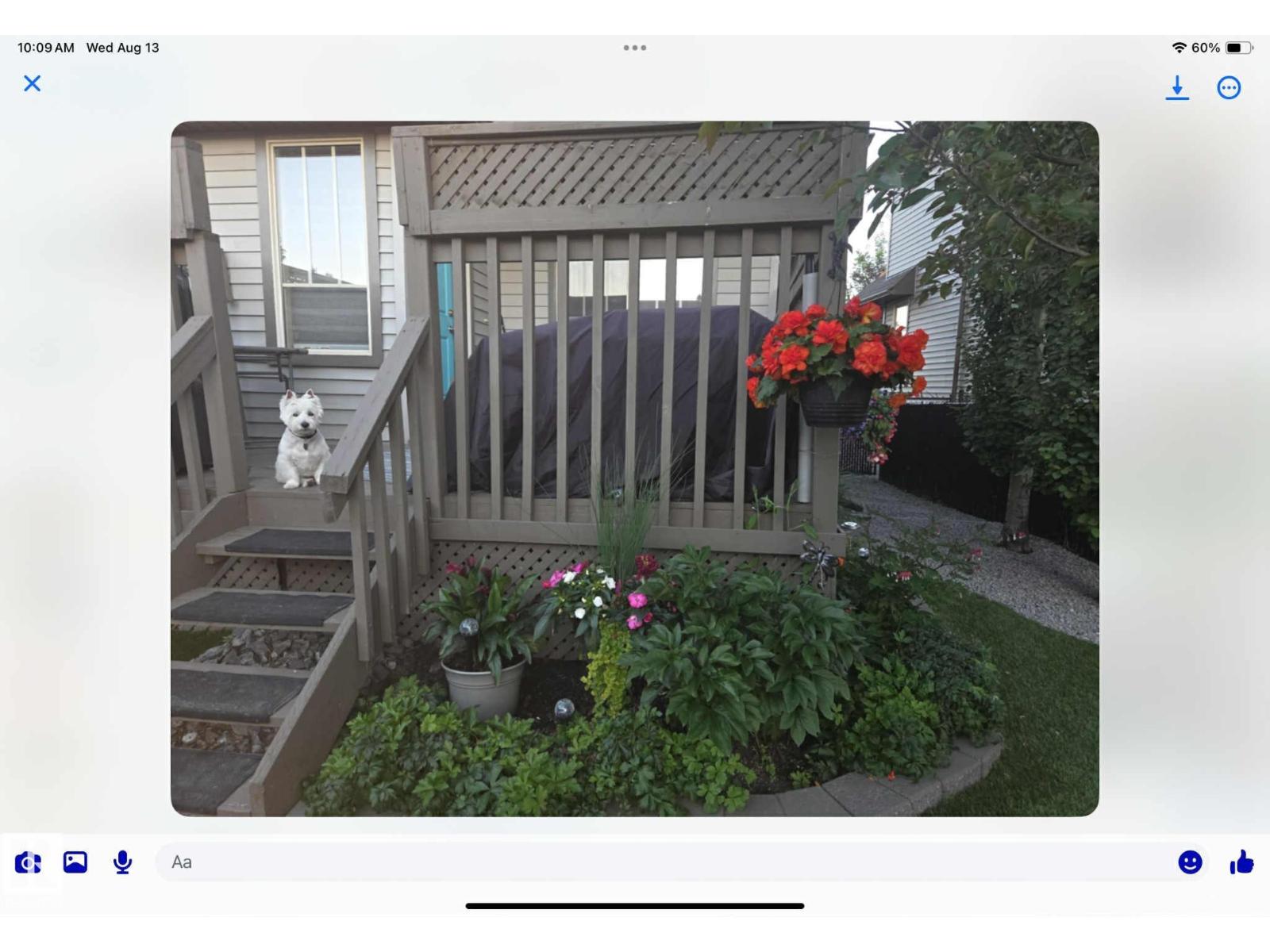 Photo 14 of 3818 Allan Dr Sw, Edmonton AB