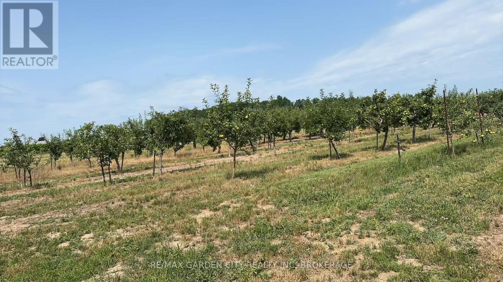 Photo 14 of 184 Line 2 Road, Niagaraonthelake ON