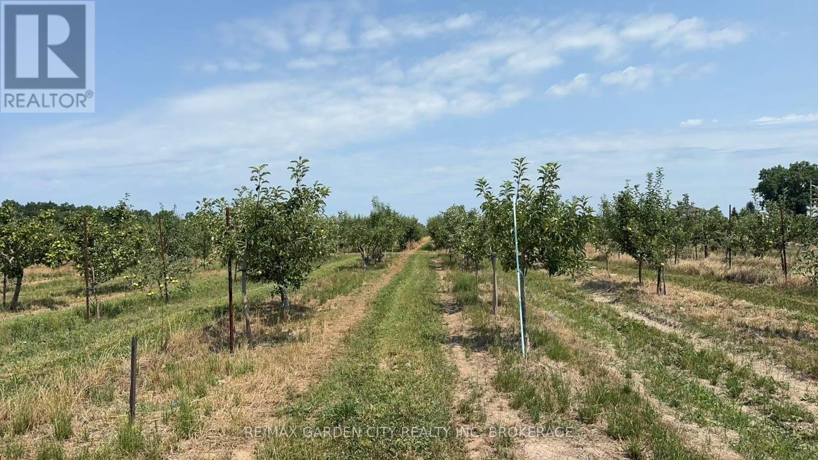 Photo 15 of 184 Line 2 Road, Niagaraonthelake ON