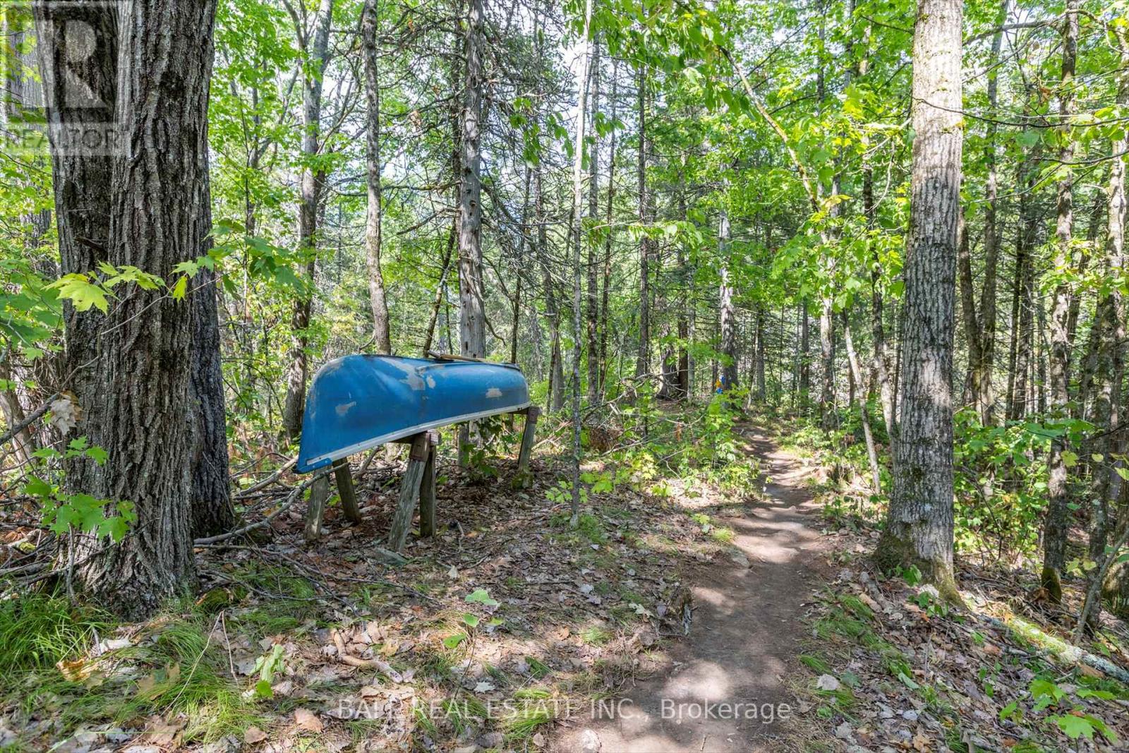 Photo 39 of 2476 County Rd 46, Havelockbelmontmethuen ON
