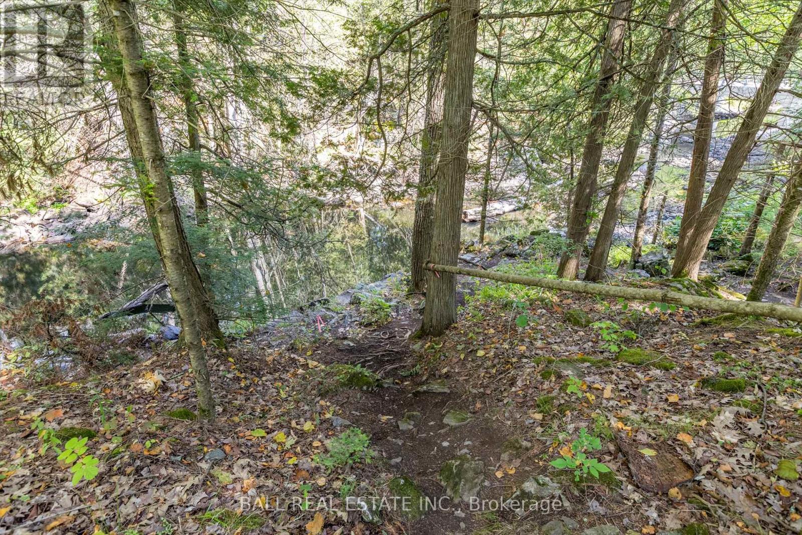 Photo 40 of 2476 County Rd 46, Havelockbelmontmethuen ON
