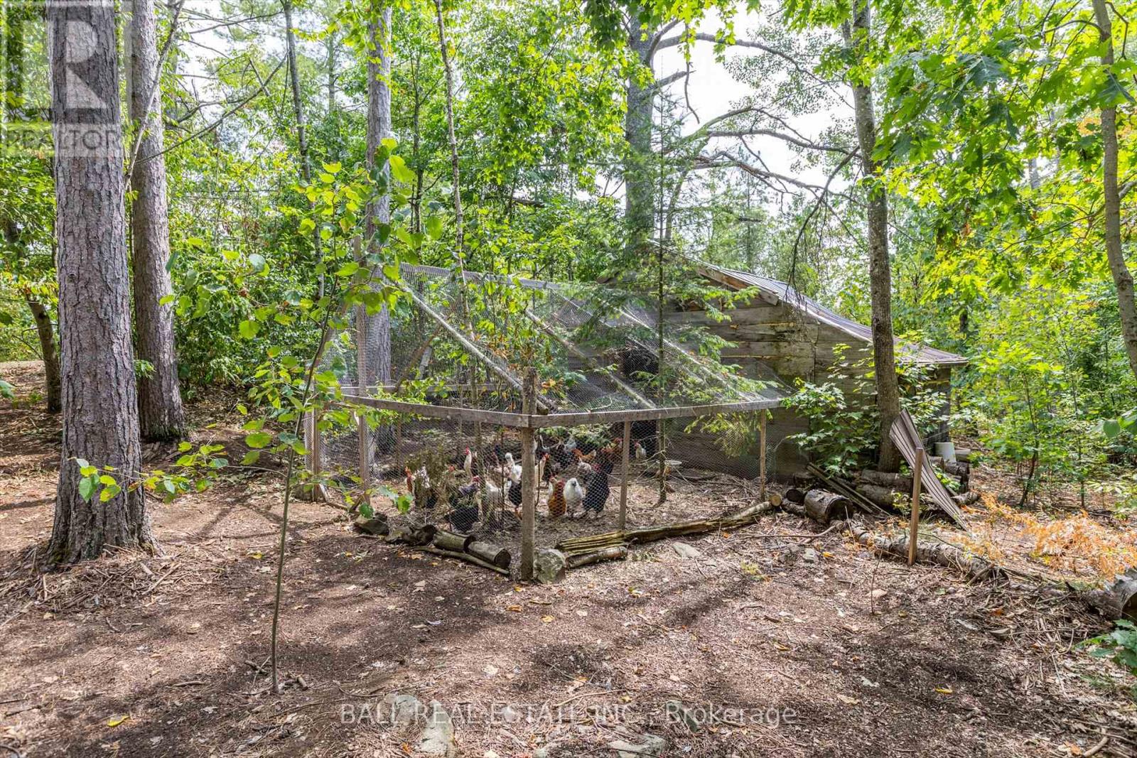 Photo 50 of 2476 County Rd 46, Havelockbelmontmethuen ON