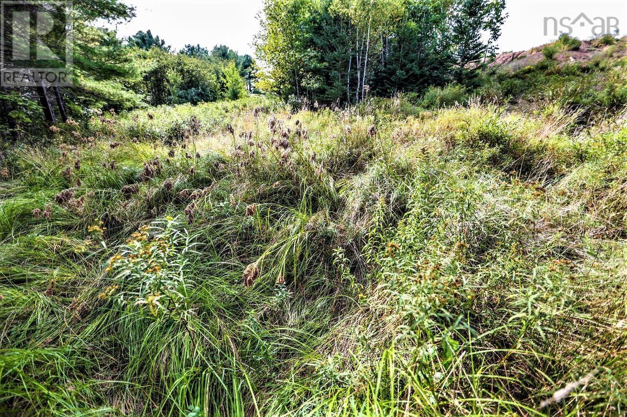 Property 11 of 16 of Lot 21-1 & -2 Wye Street