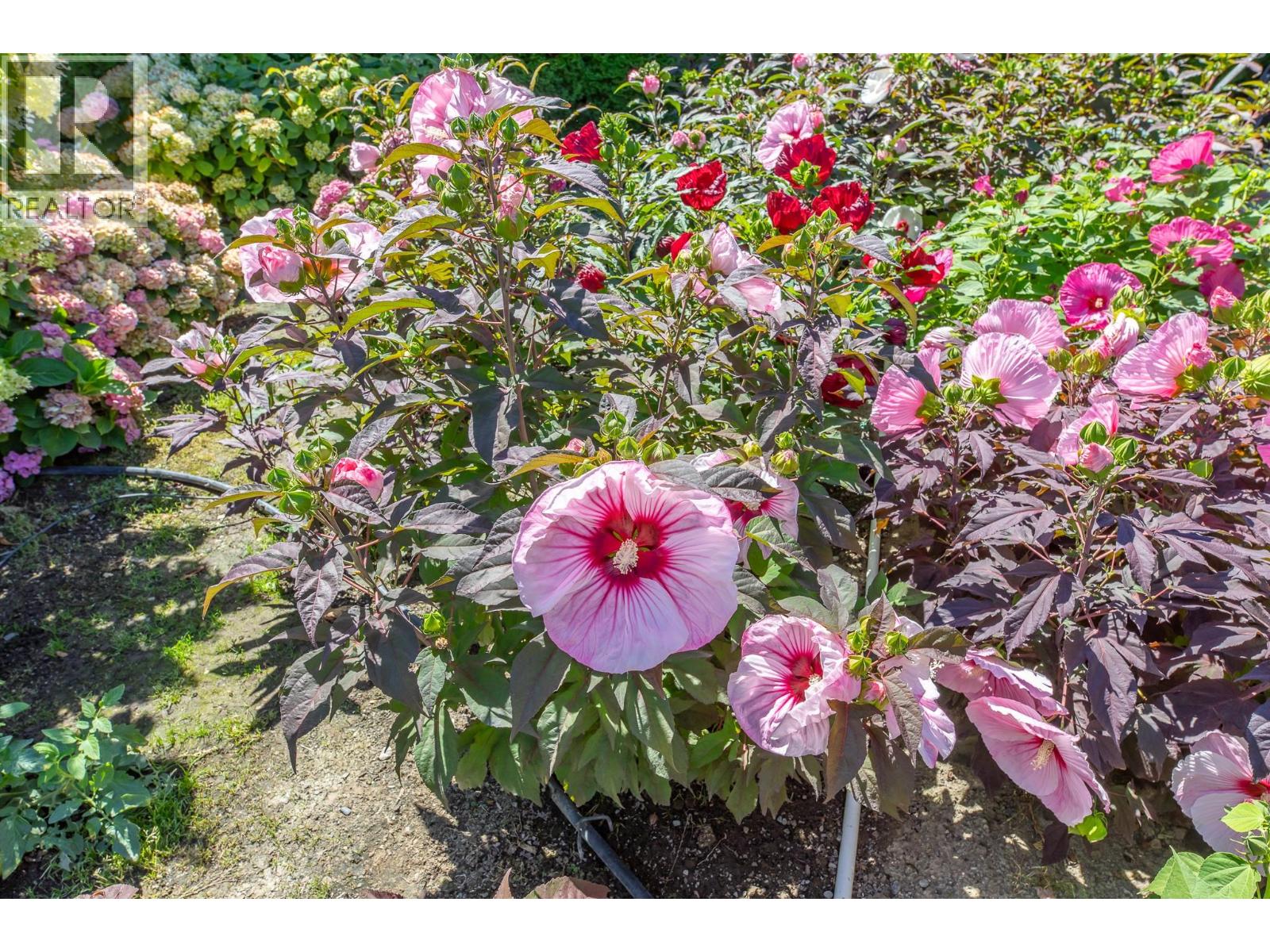 Photo 50 of 517 Vanderlinde Drive, Keremeos BC
