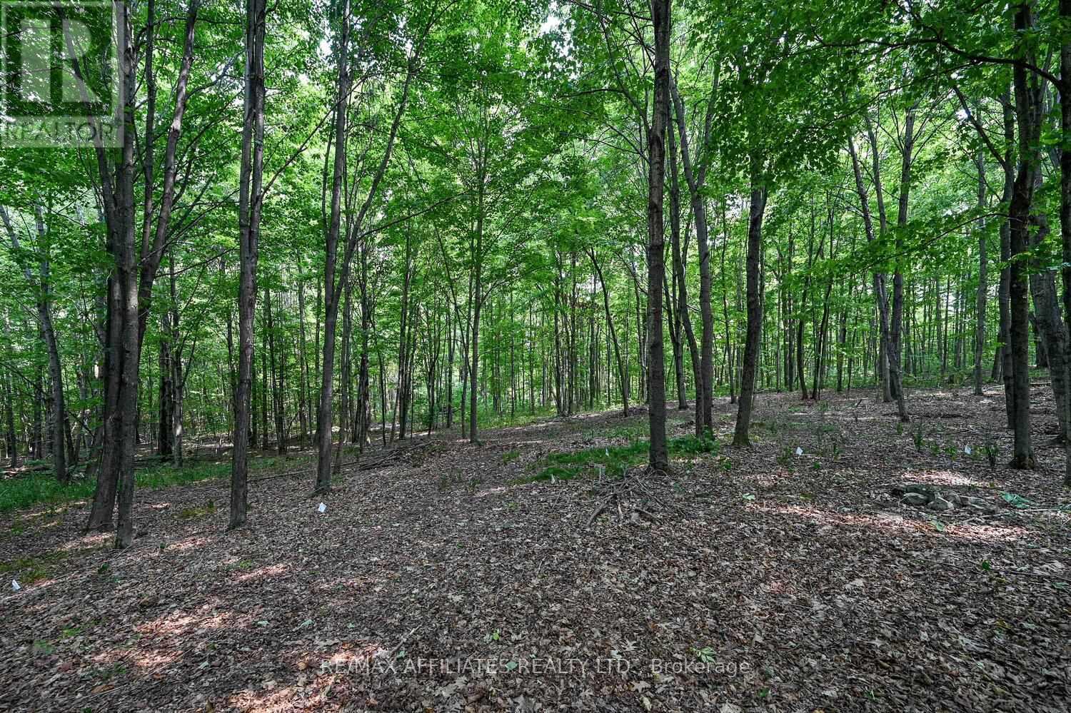 Photo 40 of 125 Otter Lake Road, Rideau Lakes ON