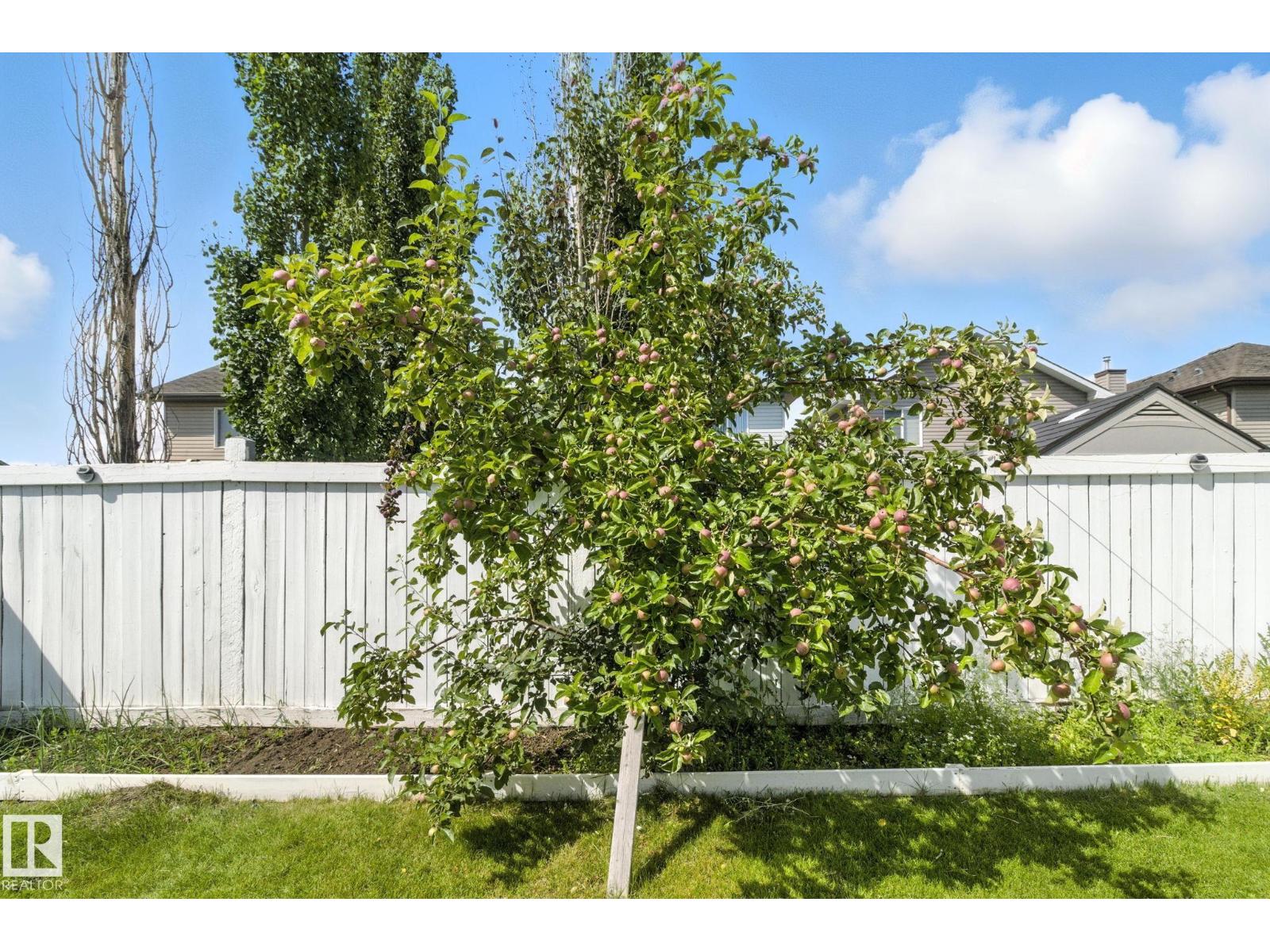 Photo 49 of 3368 24 Av Nw, Edmonton AB