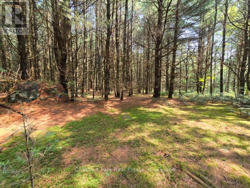 Photo 37 of 2784 Axe Lake Road, Mcmurrich Monteith ON