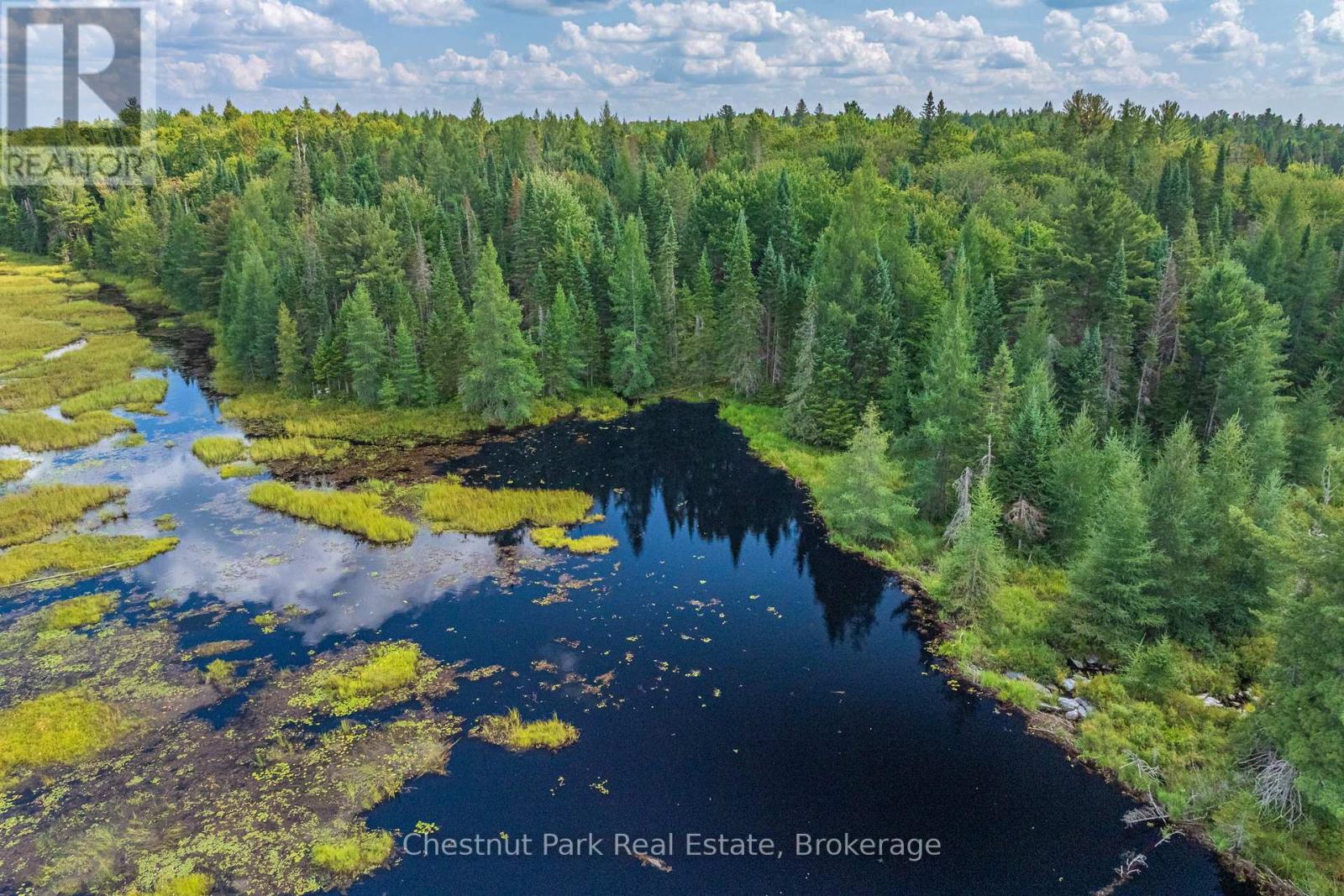 Photo 39 of 2784 Axe Lake Road, Mcmurrich Monteith ON