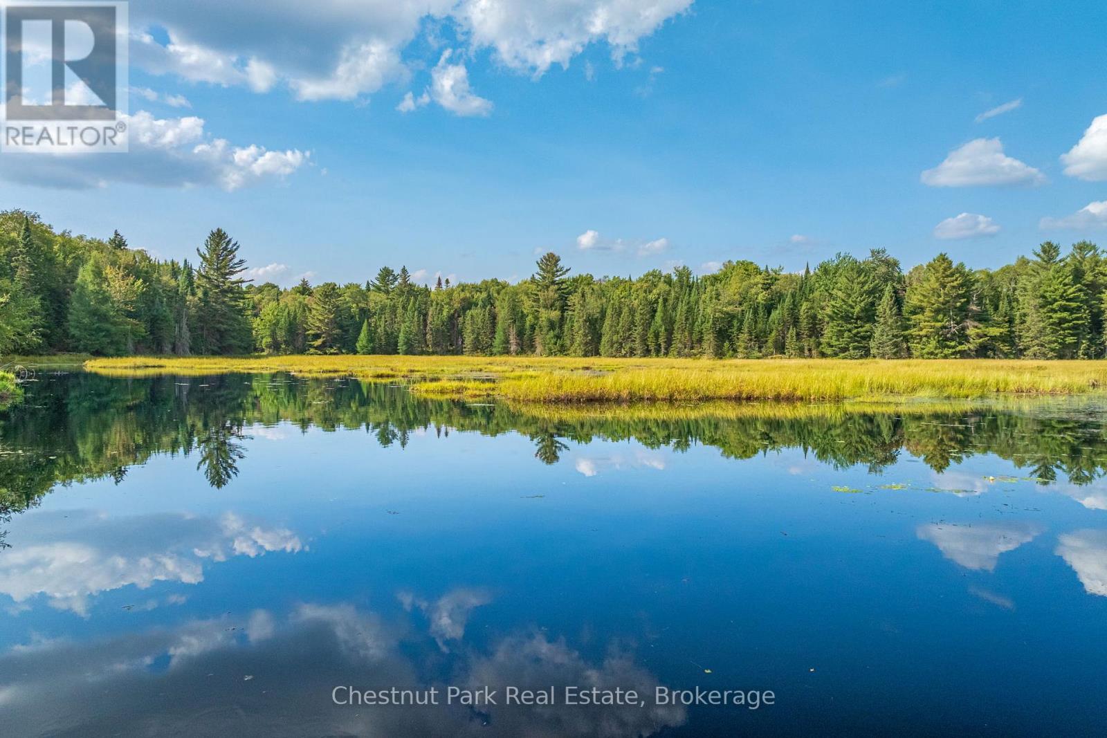 Photo 41 of 2784 Axe Lake Road, Mcmurrich Monteith ON