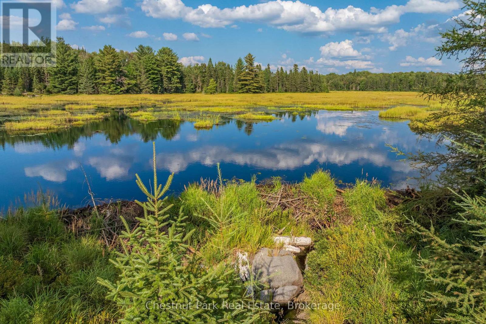 Photo 42 of 2784 Axe Lake Road, Mcmurrich Monteith ON