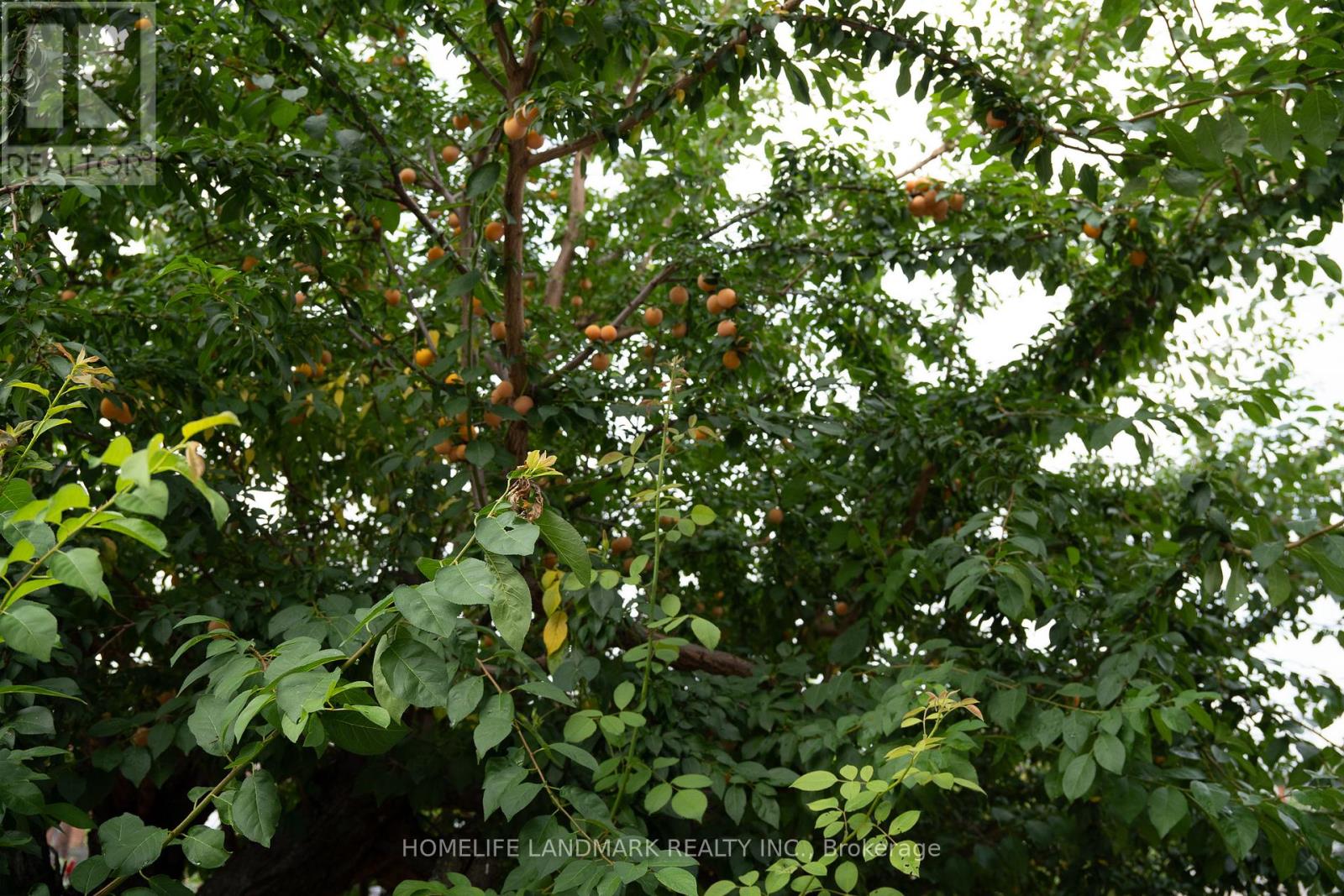 Photo 40 of 57 Navaho Drive, Toronto ON