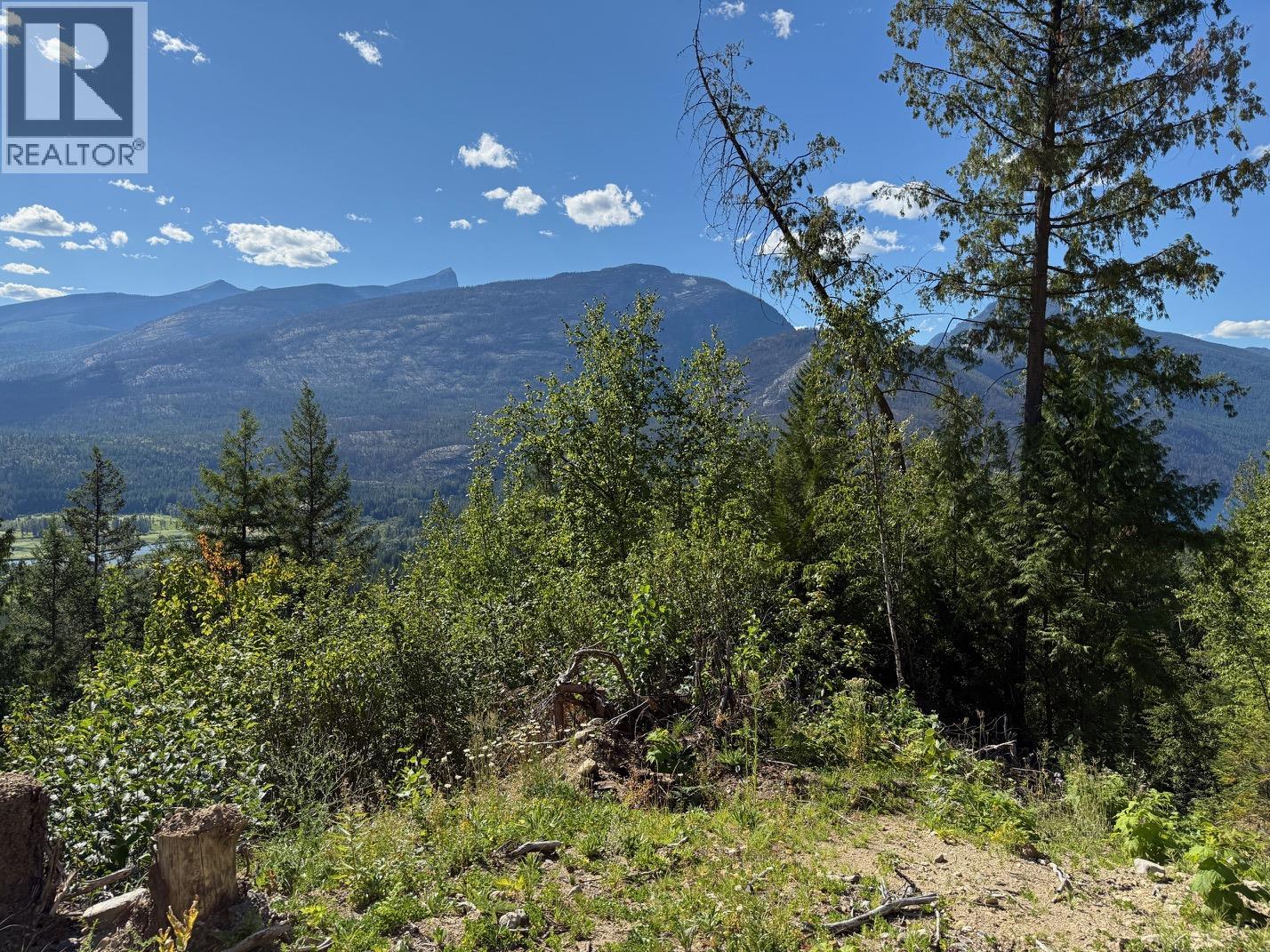 Photo 9 of Lot 2 Martens Road, Slocan BC