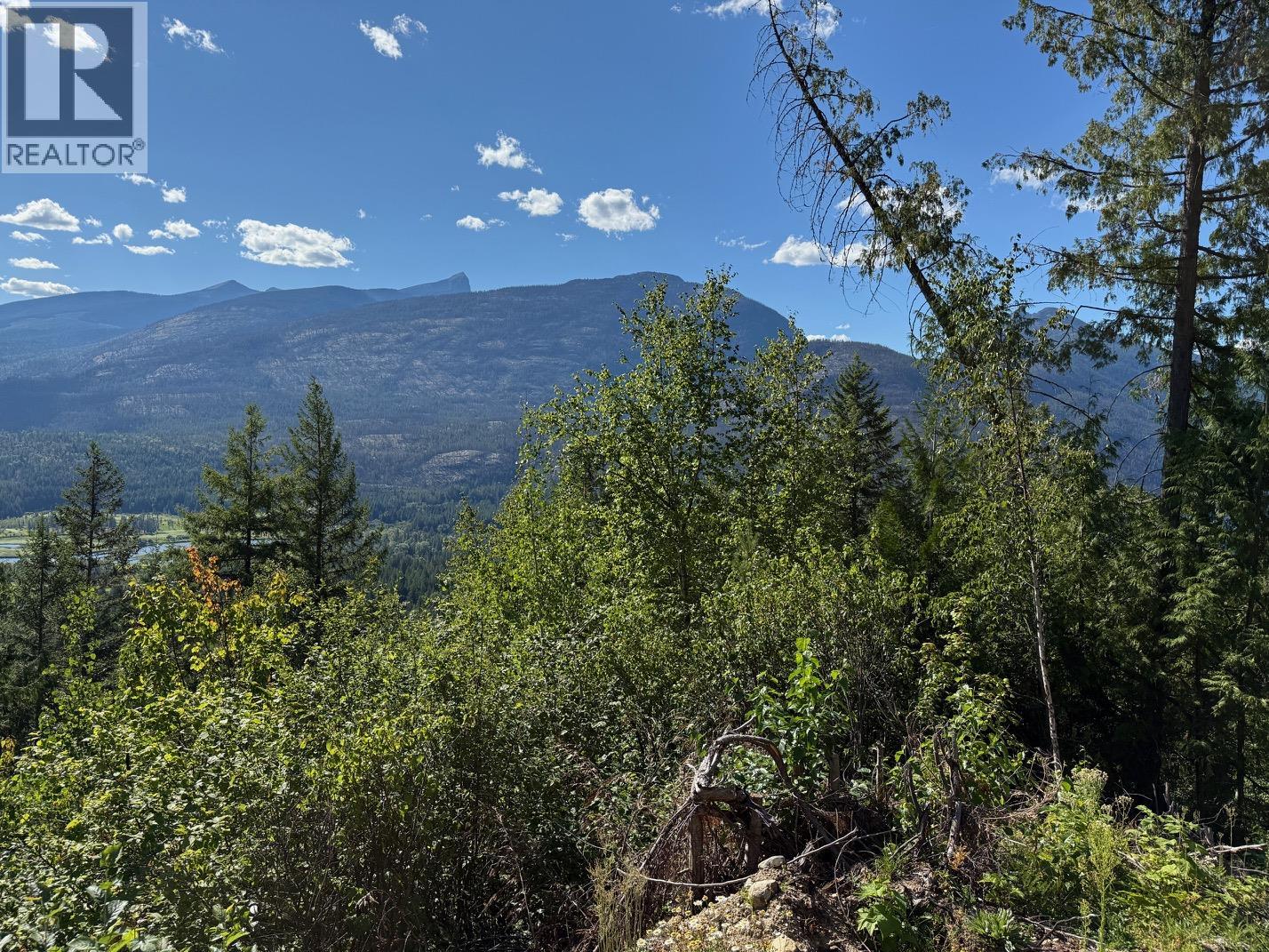 Photo 11 of Lot 2 Martens Road, Slocan BC