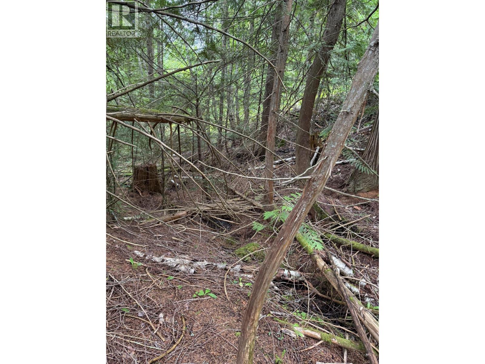 Photo 6 of Lot 2 Martens Road, Slocan BC