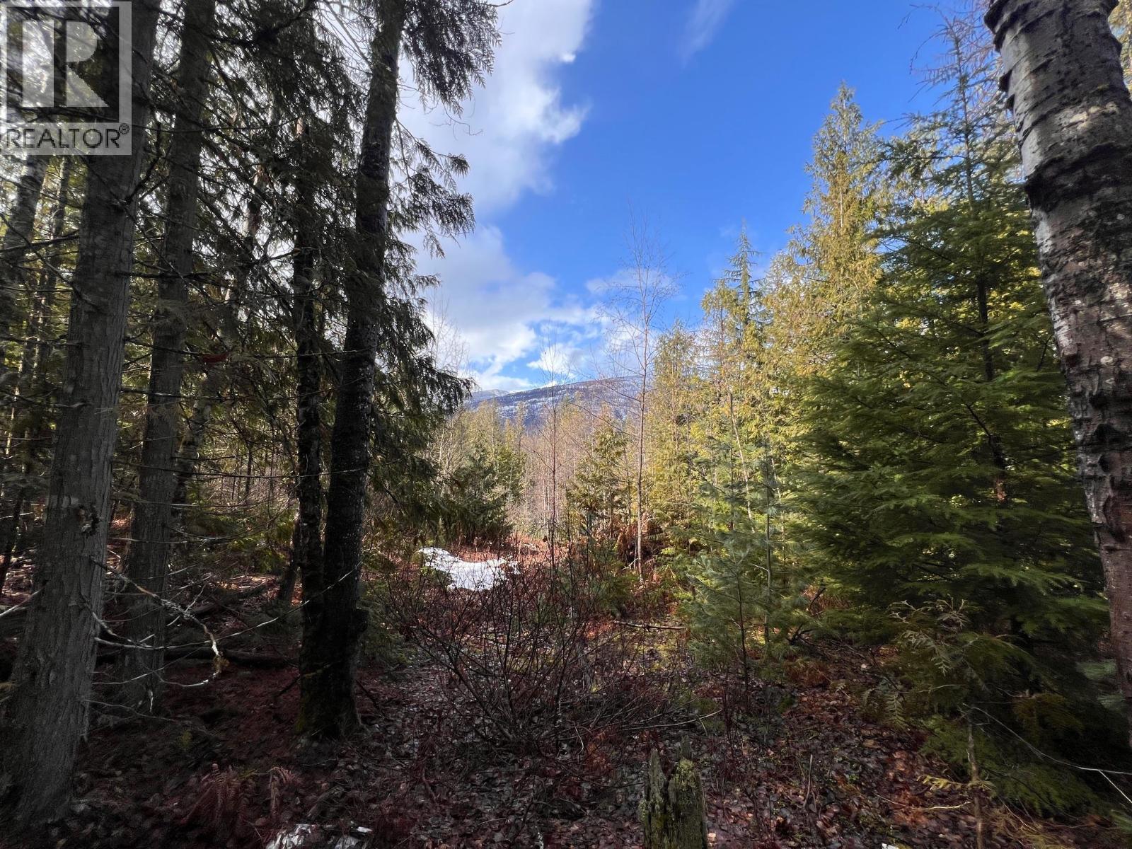 Photo 4 of Lot 2 Martens Road, Slocan BC