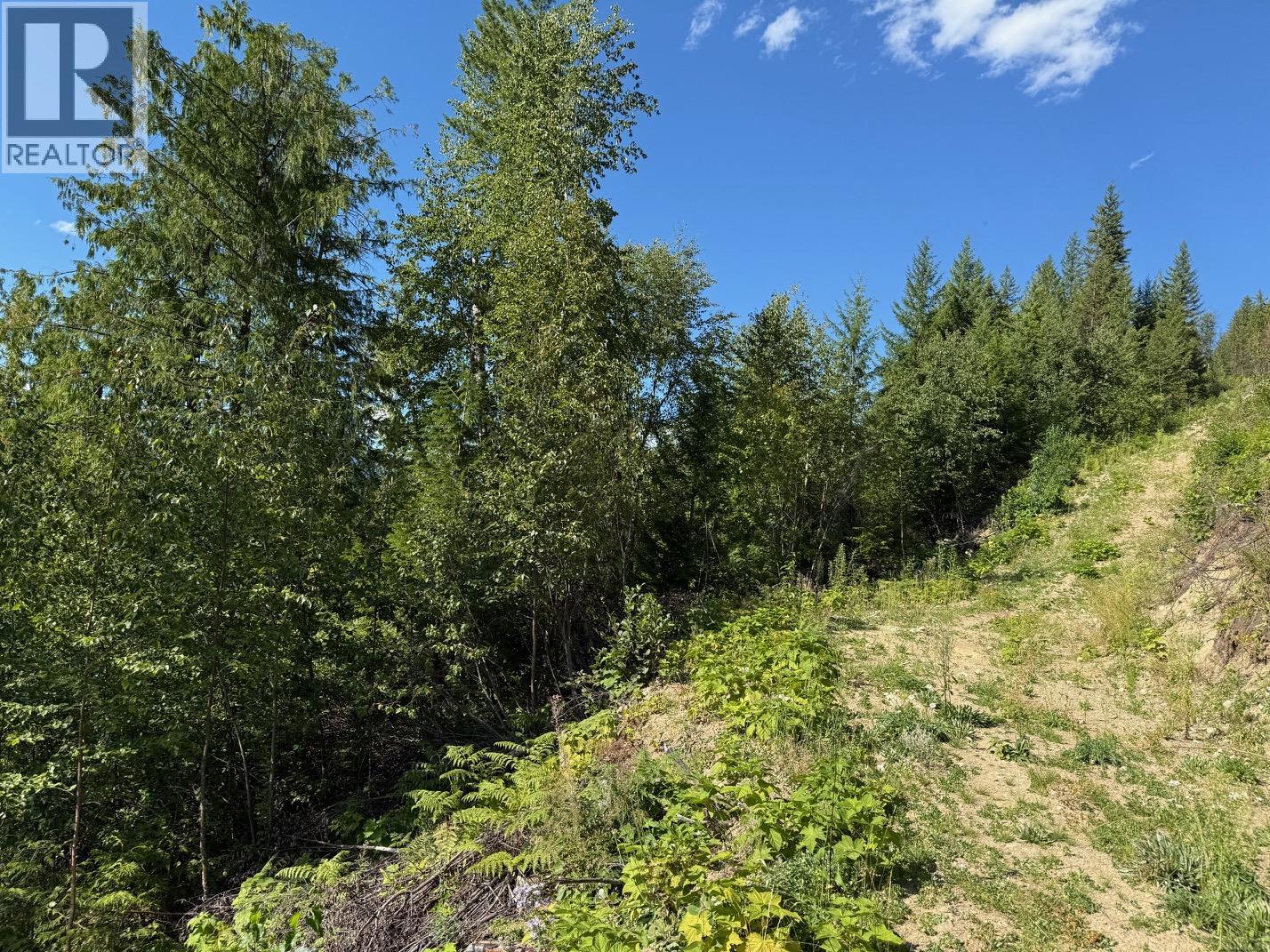 Photo 10 of Lot 2 Martens Road, Slocan BC