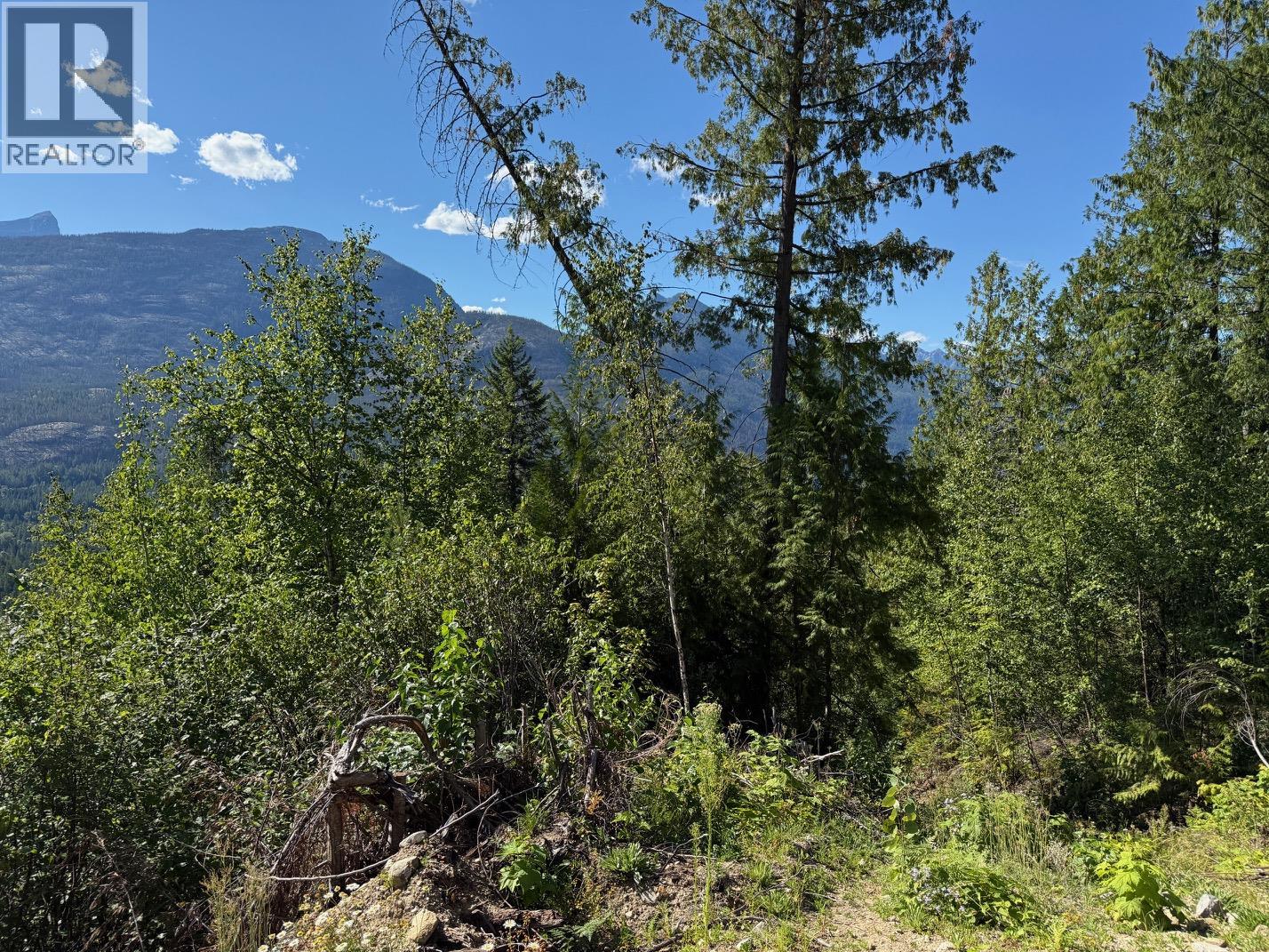 Photo 12 of Lot 2 Martens Road, Slocan BC