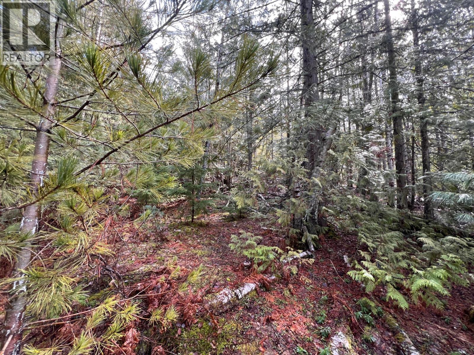 Photo 5 of Lot 2 Martens Road, Slocan BC
