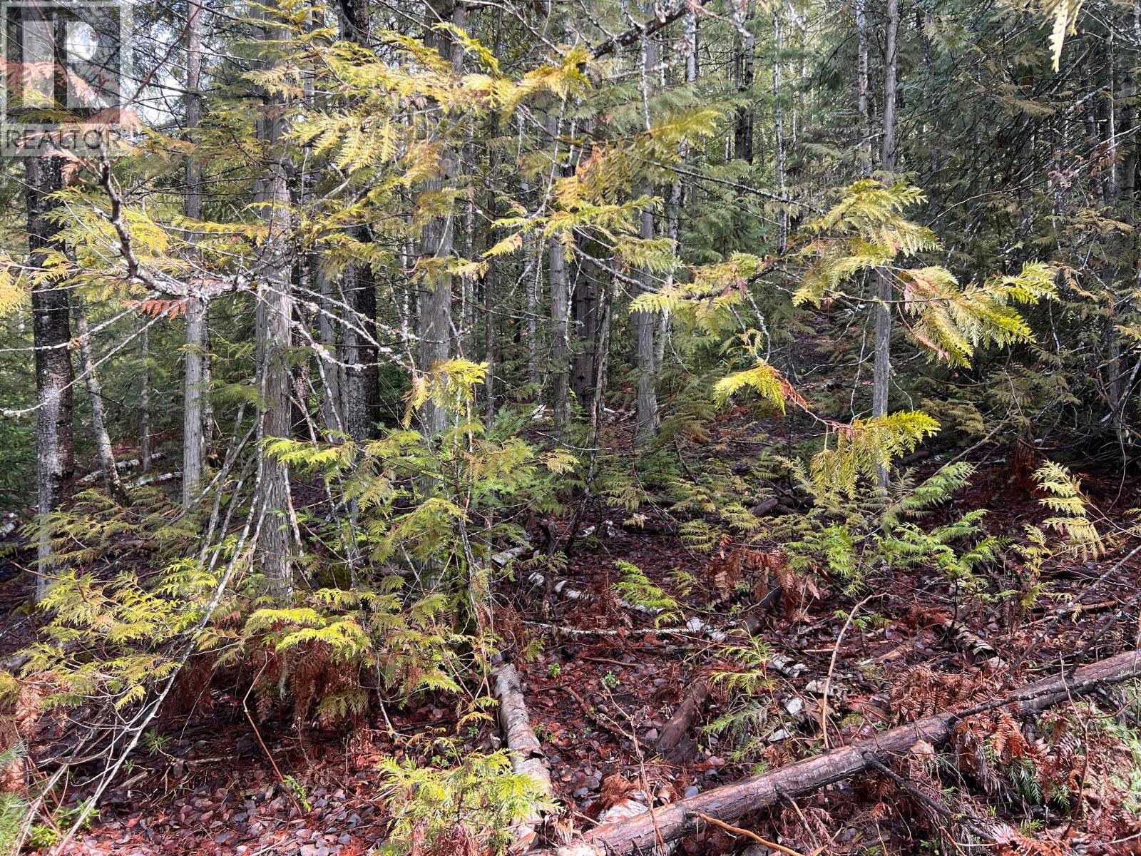 Photo 3 of Lot 2 Martens Road, Slocan BC
