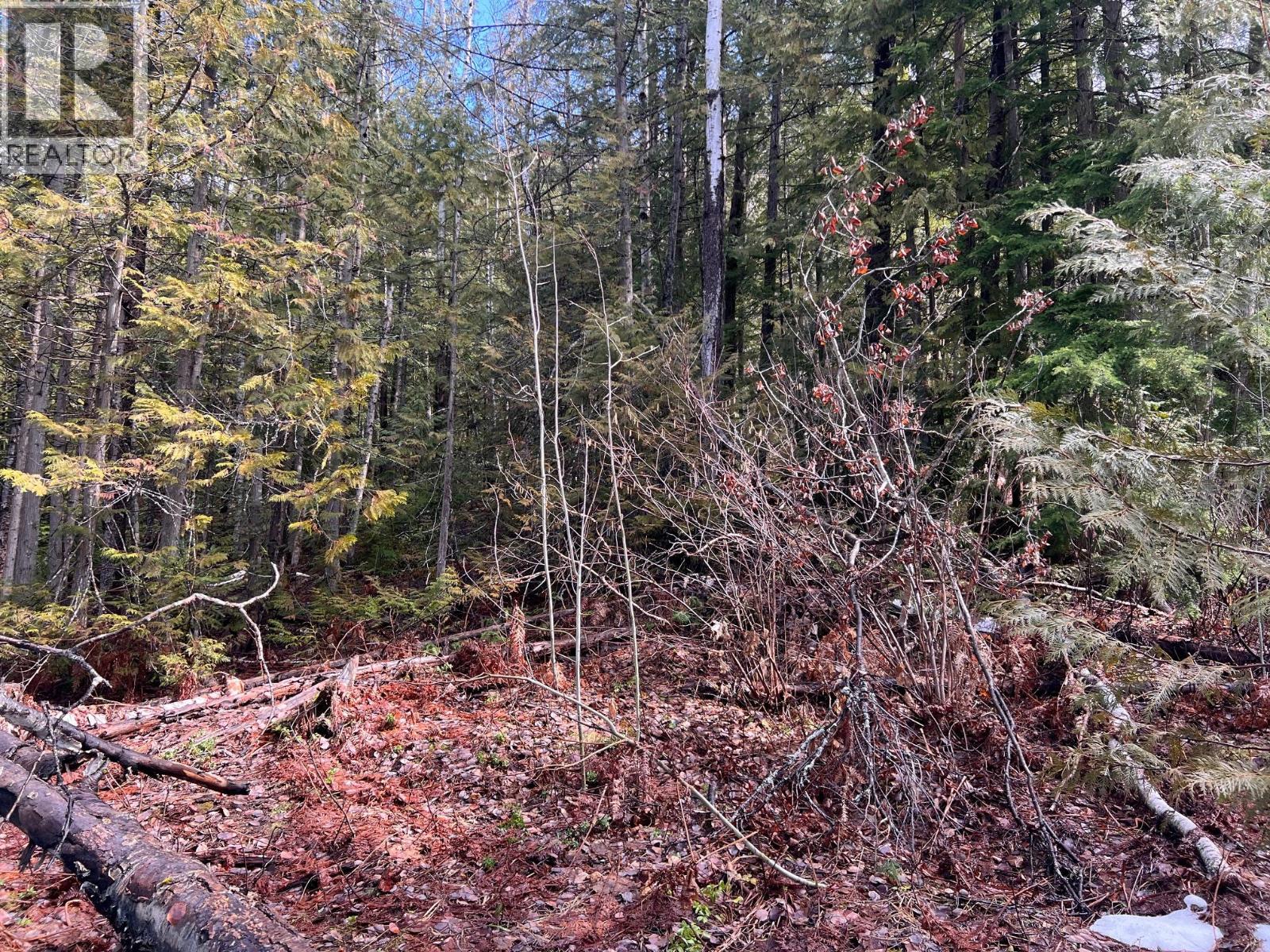 Photo 2 of Lot 2 Martens Road, Slocan BC