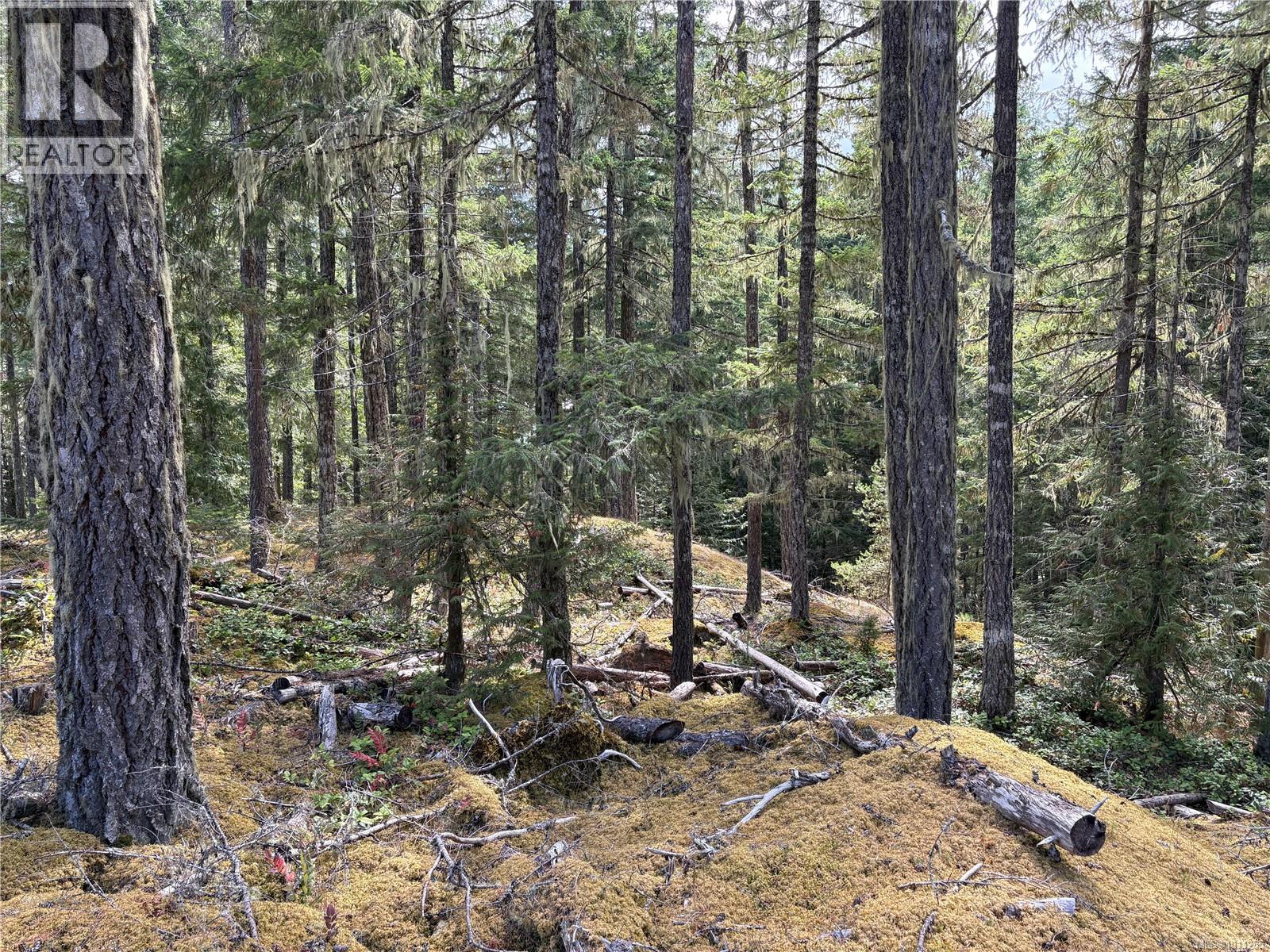  SL9 Trailhead Lane, Shawnigan Lake