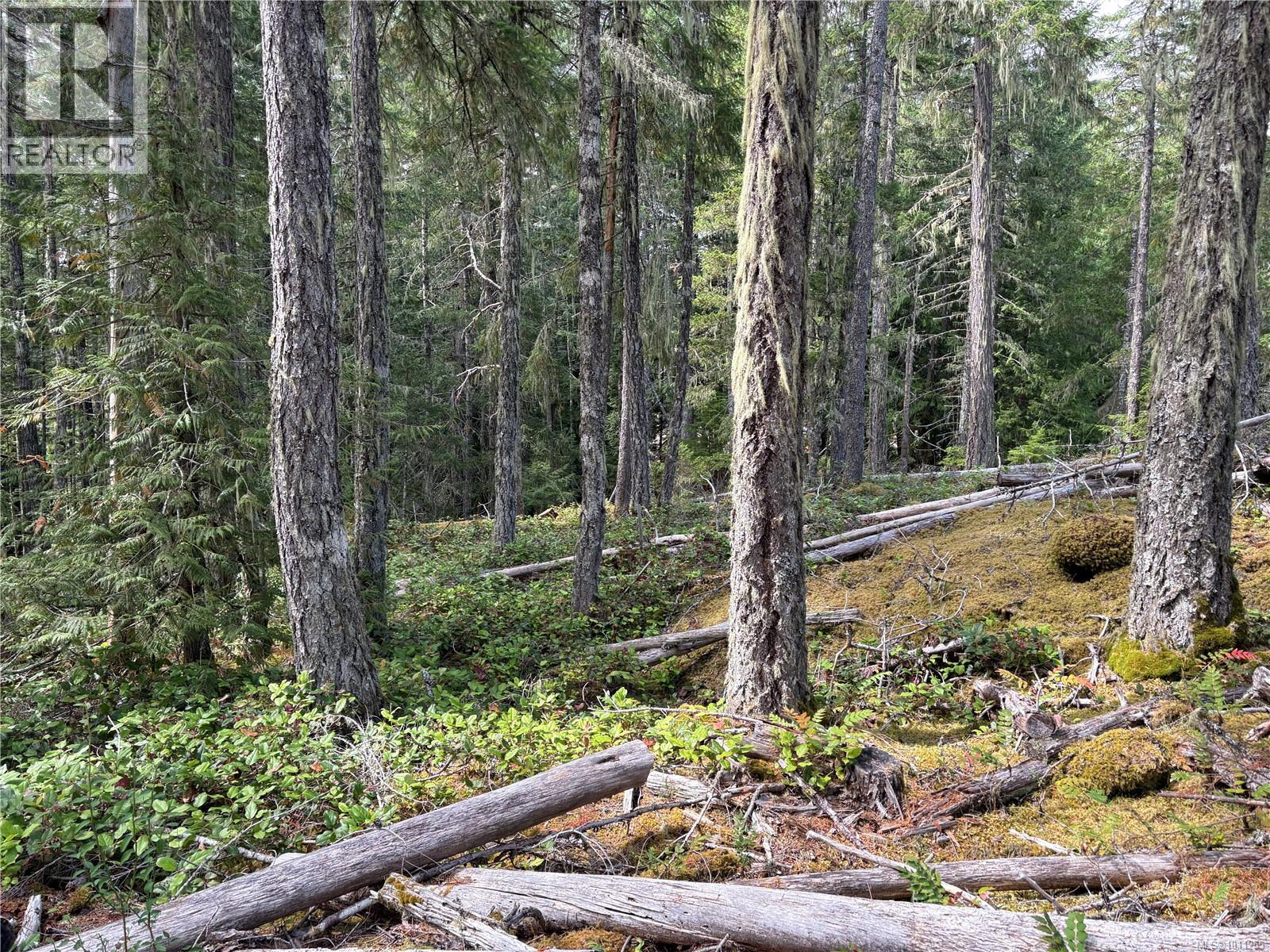  SL9 Trailhead Lane, Shawnigan Lake