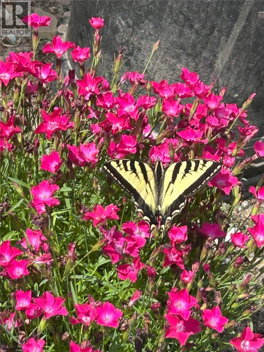  2703 Brigadoon Crescent, Pender Island