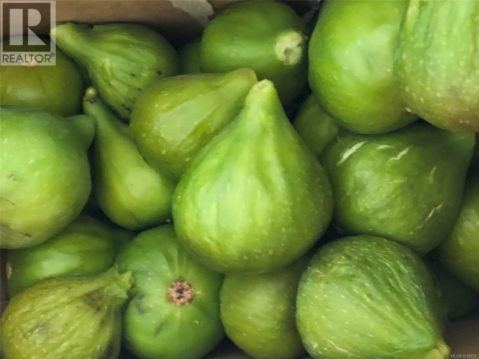  2703 Brigadoon Crescent, Pender Island