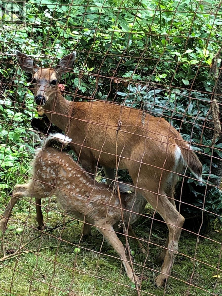  2703 Brigadoon Crescent, Pender Island
