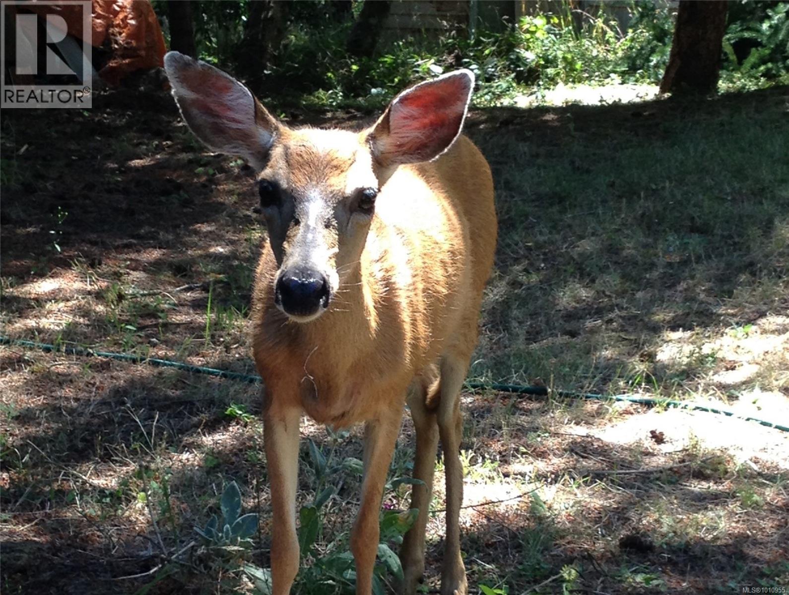  2703 Brigadoon Crescent, Pender Island