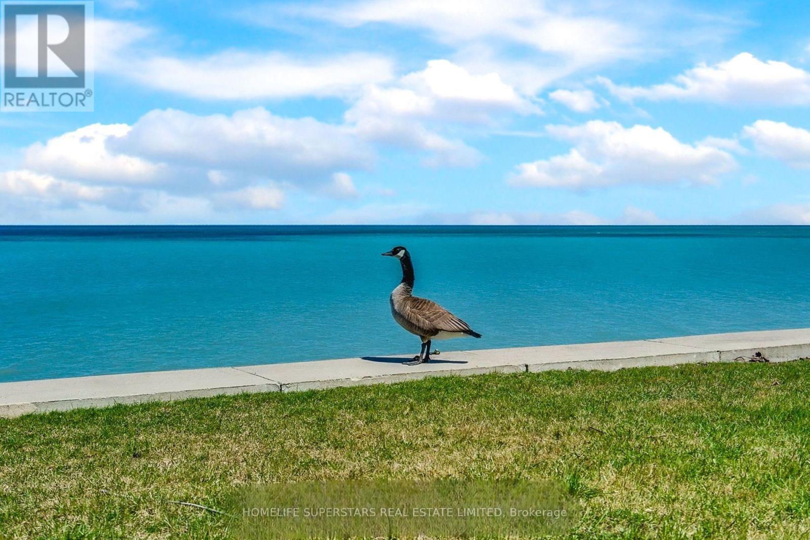 Photo 23 of 56 Seabreeze Crescent, Hamilton ON
