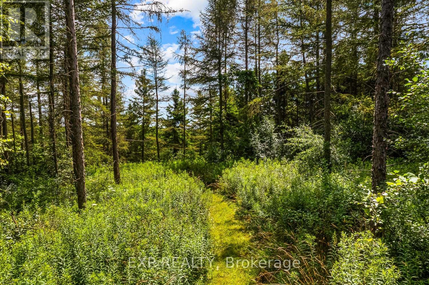 Photo 49 of 9307 Sideroad 9 Side Road, Erin ON