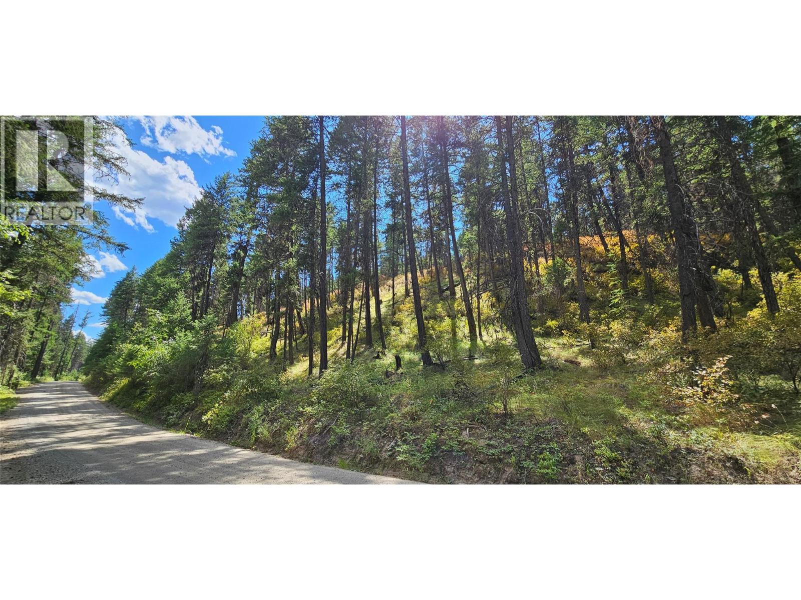 DL 311S NICHOLSON CREEK Road Unit# Lot A, Rock Creek