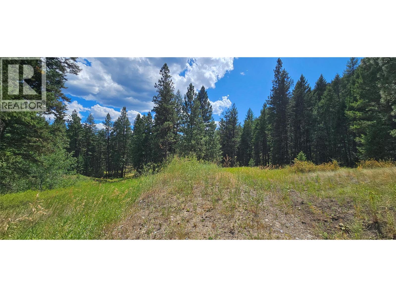 DL 311S NICHOLSON CREEK Road Unit# Lot A, Rock Creek