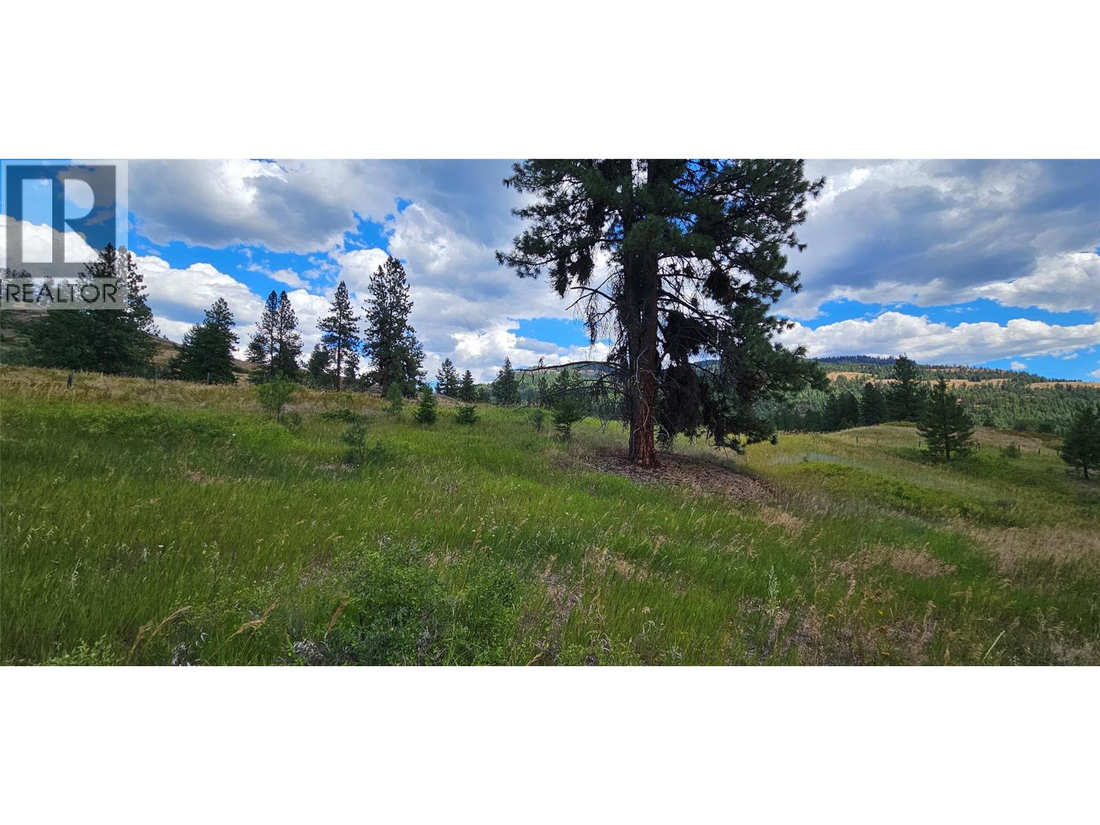 DL 311S NICHOLSON CREEK Road Unit# Lot A, Rock Creek
